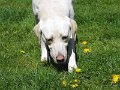 afb_20160506 (106)
